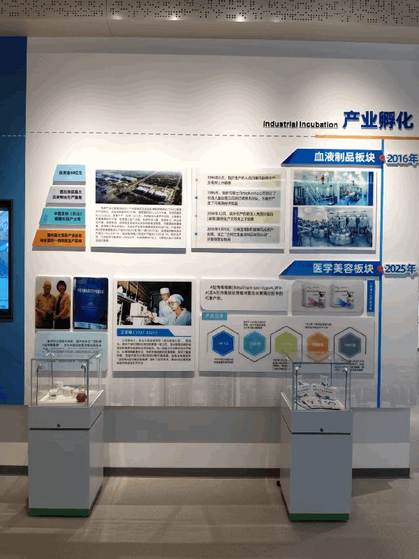 互联网公司前台企业文化墙创意排版设计