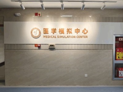 背发光字/精工字制作 | 极简前台形象墙 | 钛金/玫瑰金拉丝 质感出众 - 科技未来风图1