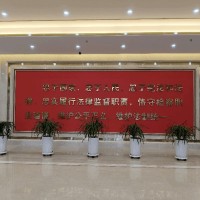新时代文明实践中心布置 | 党员活动室背景墙 | 环保阻燃材料 资质齐全 - 科技未来风