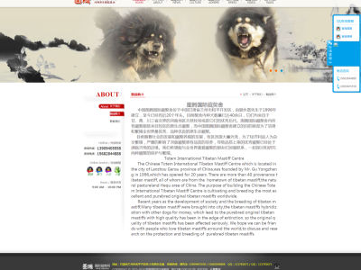 企业网站建设豪华型