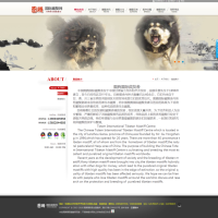 企业网站建设豪华型