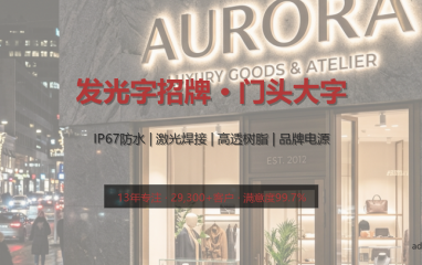 网红霓虹灯发光字定制 | 打卡店氛围灯牌 | 柔性硅胶 安全低压 免费设计 - 国潮新中式